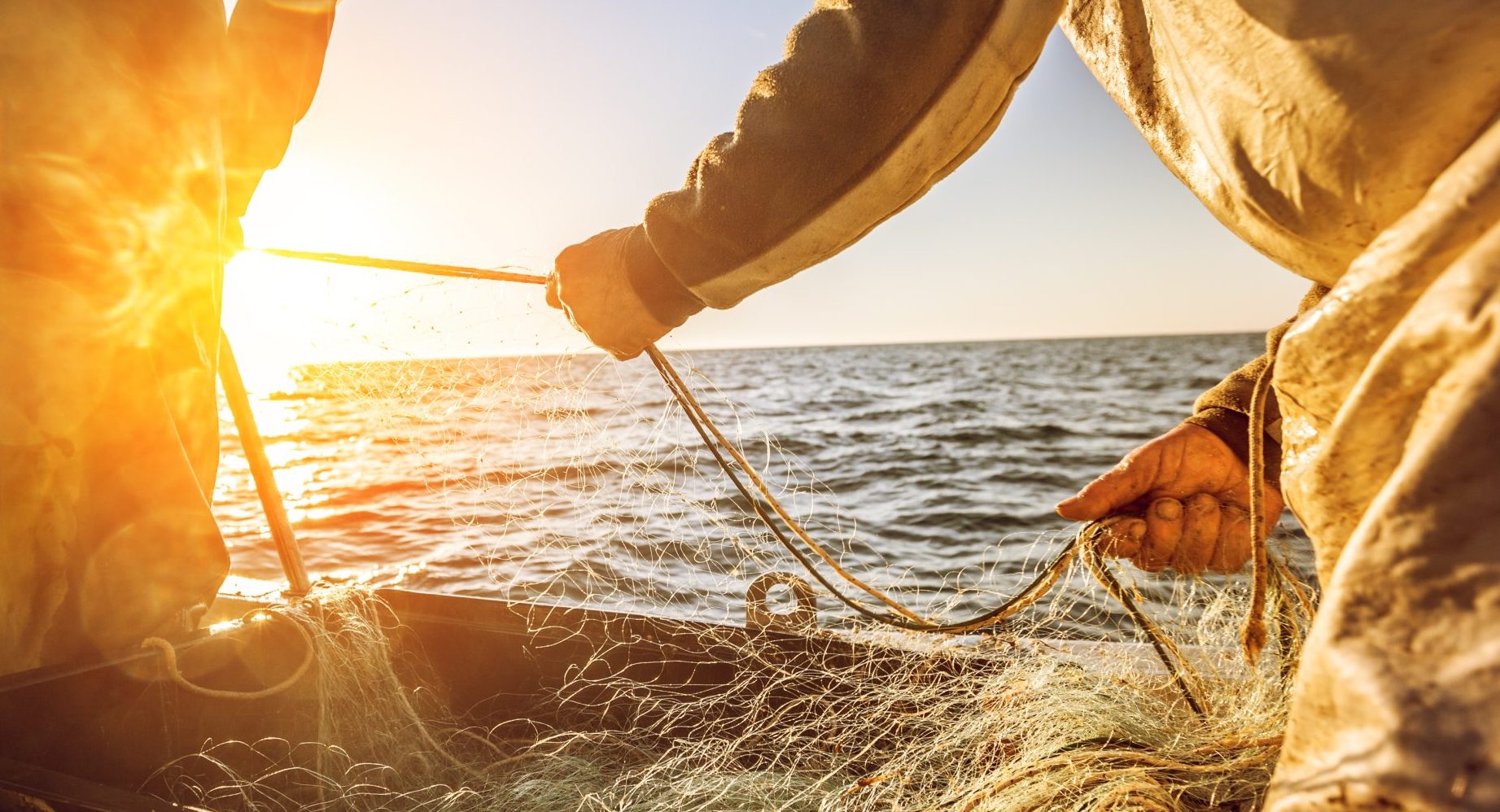 Wild Alaskan Seafood Zachary Scott